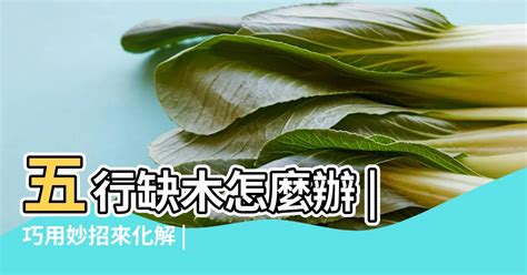 屬木的人缺什麼|八字命理:五行缺木怎麼辦！看看你的該怎麼化解？